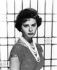 Sophia Loren Poster Print by Hollywood Photo Archive Hollywood Photo Archive - Item # VARPDX488708