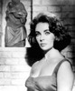 Elizabeth Taylor Poster Print by Hollywood Photo Archive Hollywood Photo Archive - Item # VARPDX490054