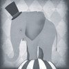 Circus Elephant Gray Poster Print by Ryan Fowler - Item # VARPDX49896