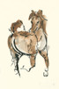 Sketchy Horse V Poster Print by Chris Paschke - Item # VARPDX49927