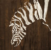 White Zebra on Dark Wood Poster Print by Chris Paschke - Item # VARPDX50039