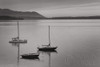 Bellingham Bay BW Poster Print by Alan Majchrowicz - Item # VARPDX50226