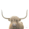 Highland Cow Sepia Sq Poster Print by James Wiens - Item # VARPDX50231