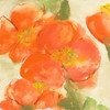 Tangerine Poppies I Poster Print by Chris Paschke - Item # VARPDX50257