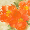 Tangerine Poppies II Poster Print by Chris Paschke