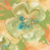 Olive Poppy I Poster Print by Chris Paschke