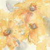 Golden Clematis II Poster Print by Chris Paschke - Item # VARPDX50268