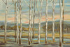 Silver Forest Poster Print by Silvia Vassileva - Item # VARPDX50287