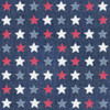 Patriotic Dark Pattern IIB Poster Print by Beth Grove - Item # VARPDX50673