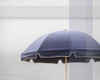 Shady II Poster Print by Elizabeth Urquhart - Item # VARPDX50713