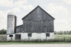 Weathered III Poster Print by Elizabeth Urquhart - Item # VARPDX50757