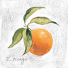 L Orange on White Poster Print by Silvia Vassileva - Item # VARPDX51427