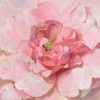 Blushing Metallic Peony Poster Print by Danhui Nai - Item # VARPDX51674