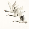 Zen Cranes II Warm Poster Print by Chris Paschke - Item # VARPDX51745