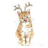 Christmas Kitties III Square Poster Print by Beth Grove - Item # VARPDX51869