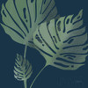 Monstera III Poster Print by Becky Thorns - Item # VARPDX52081