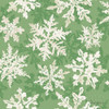 Holiday Flora Pattern VIIB Poster Print by Beth Grove - Item # VARPDX52230