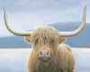 Highland Cow v2 Poster Print by James Wiens - Item # VARPDX52964