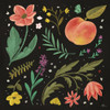 Spring Botanical II Black Poster Print by Janelle Penner - Item # VARPDX53484