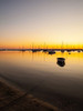 Marthas Vineyard Sunset I Poster Print by Aledanda Aledanda - Item # VARPDX53595