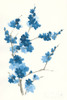 Blue Branch I Poster Print by Chris Paschke - Item # VARPDX55059