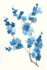 Blue Branch IV Poster Print by Chris Paschke - Item # VARPDX55062