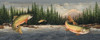 Northwoods Trout Poster Print by David Carter Brown - Item # VARPDX8638