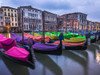 Gondolas parked on the grand canal, Venice, Italy Poster Print by Assaf Frank - Item # VARPDXAF20130409201C02