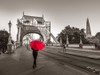 Tourist with umbrella on Tower Bridge, London, UK Poster Print by Assaf Frank - Item # VARPDXAF20150627204C02