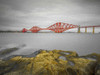 Forth Rail Bridge, Scotland Poster Print by Assaf Frank - Item # VARPDXAF20171017224C02P