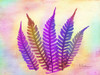 Retroluxed Fern Poster Print by Albert Koetsier - Item # VARPDXAK5RC105F