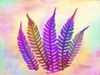 Retroluxed Fern Poster Print by Albert Koetsier - Item # VARPDXAK5RC105F