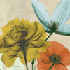 New Avalon IV Poster Print by Albert Koetsier - Item # VARPDXAK5SQ020A4