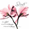 Orchid Strength Poster Print by Albert Koetsier - Item # VARPDXAK5SQ099R