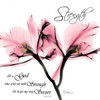 Orchid Strength Poster Print by Albert Koetsier - Item # VARPDXAK5SQ099R