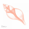 Peach Tulip Shell Poster Print by Albert Koetsier - Item # VARPDXAK7SQ014A