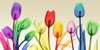Floral Rainbow Splurge Poster Print by Albert Koetsier - Item # VARPDXAK8PL011A