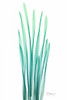 Radiant Bamboo Leaf Poster Print by Albert Koetsier