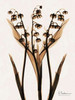 ged Lily Of The Valley Poster Print by Albert Koetsier - Item # VARPDXAK8RC027F