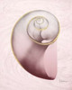 Marble Blush Snail 2 Poster Print by Albert Koetsier - Item # VARPDXAK8RC052B1