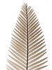 Earthly Fern 2 Poster Print by Albert Koetsier - Item # VARPDXAK8RC066B