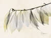 Sunkissed Camelia Leaf Poster Print by Albert Koetsier