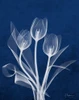 Ecto Indigo Tulips Poster Print by Albert Koetsier