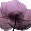 Poppy Purple Poster Print by Albert Koetsier - Item # VARPDXAK8SQ013B2