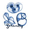 Coastal Serenity Poster Print by Albert Koetsier - Item # VARPDXAK8SQ064B
