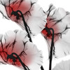 Crimson Luster Cyclamen Poster Print by Albert Koetsier - Item # VARPDXAK8SQ178A