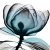 Waking Midnight 1 Poster Print by Albert Koetsier - Item # VARPDXAK8SQ203A