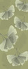 Green on Green Ginko Poster Print by Albert Koetsier - Item # VARPDXAKPL045B