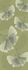 Green on Green Ginko Poster Print by Albert Koetsier - Item # VARPDXAKPL045B