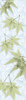 Green on Green Maple Poster Print by Albert Koetsier